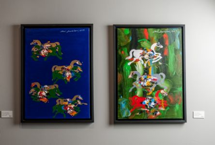 Fevzi Karakoç Sergi