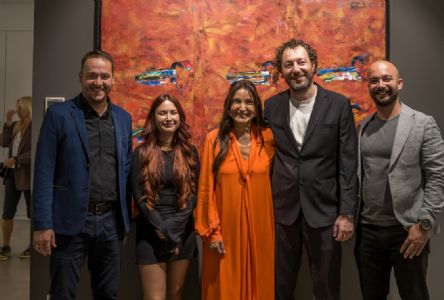 Fevzi Karakoç Sergi