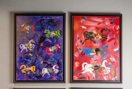 Fevzi Karakoç Sergi