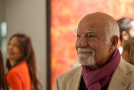 Fevzi Karakoç Sergi