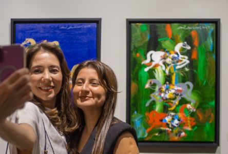 Fevzi Karakoç Sergi