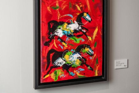 Fevzi Karakoç Sergi