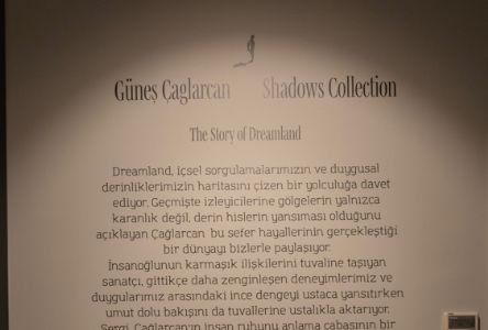 The Story of Dreamland 26